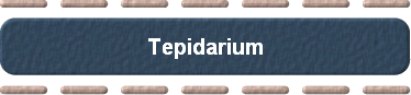 Tepidarium